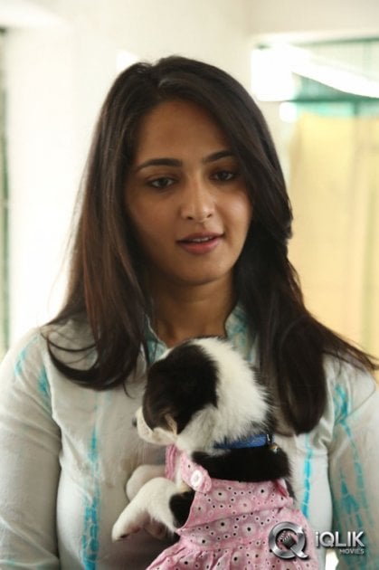 Anushka-at-Blue-Cross-Pet-Carnival-2014